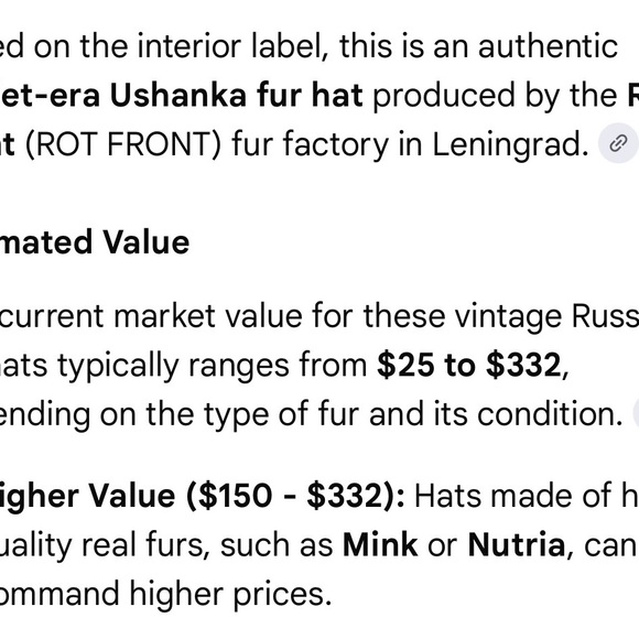 Vintage genuine Soviet-era Ushanka fur hat main image 7